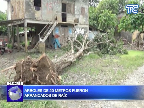 Ventarrón arrancó techos de viviendas