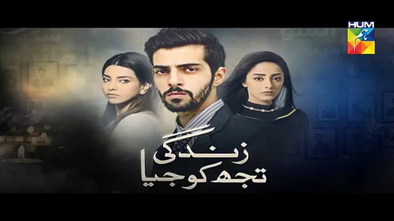 ZindagiTujhKoJiya episode 25 promo hd