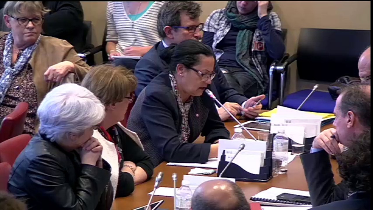 Question à Myriam El Khomri sur la loi Travail - 29 mars 2016