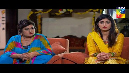 Haya Kay Daman Main Episode 2 HUM TV Drama 31 March 2016 P1