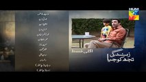 Zindagi Tujh Ko Jiya Episode 25 Promo HUM TV Drama 31 March 2016