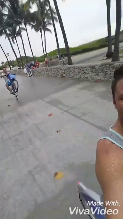 Wheelie King
