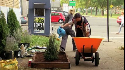 Super-Quick Growing Christmas Tree - Gagstravaganza Day 12