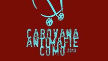 CINEGIORNALE CAROVANA ANTIMAFIE 2013