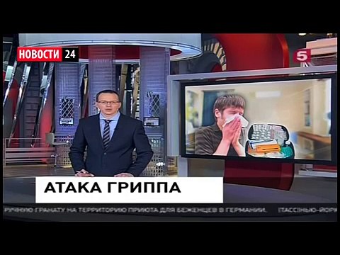 Тигр Амур покусал козла Тимура! Атака гриппа. Последние Новости России Сегодня