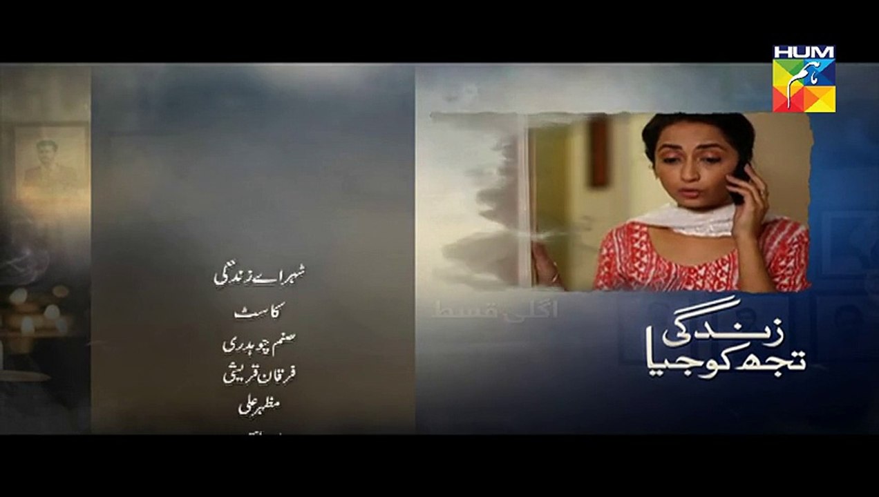 Zindagi Tujh Ko Jiya Episode 21 Promo HUM TV Drama 24 March 2016