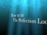 How to tie the perfection loop