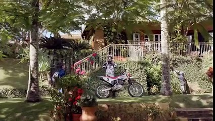 O Escaravelho do Diabo