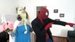 FROZEN ELSA EVIL WEDDING vs SPIDERMAN vs EVIL QUEEN MALEFICENT - Superhero Fun Movie in Real Life