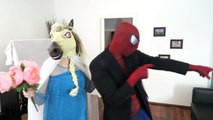 FROZEN ELSA EVIL WEDDING vs SPIDERMAN vs EVIL QUEEN MALEFICENT - Superhero Fun Movie in Real Life