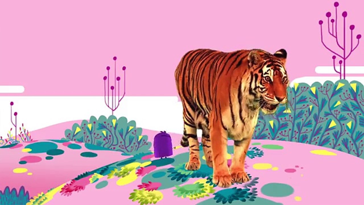 Animal Songs Tiger in the Jungle,  by Hello Channel