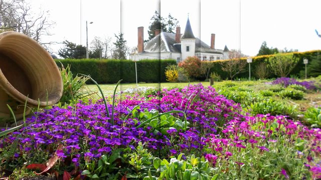 Maison / gîte à vendre proche Orléans et Blois (Sologne) - Annonces immobilières IMMOFRANCE INTERNATIONAL