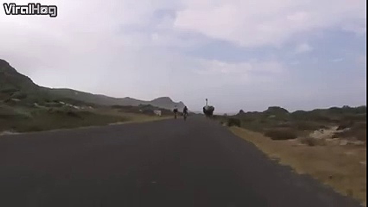 Cyclists chased by an Ostrich in South Africa...Via ViralHog by Funmediaa