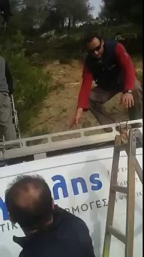 Erano in macchina quando l'hanno visto....Non ci crederete...