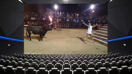 worldnews Daring man takes on raging bull and has terrible consequences FULL HD -