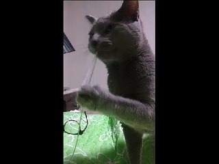 강북구출장마사지 ☏010-4931-1169☏출장마사지☝ 강북구출장안마