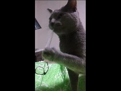 성남출장안마 ☏010-4931-1169☏출장마사지☝ 성남출장마사지