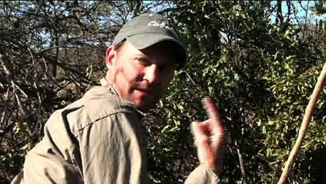 Grand Slam Africa - Introduction