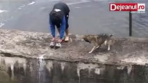 Salva un  cane che stava annegando, ma non si aspettava questo...