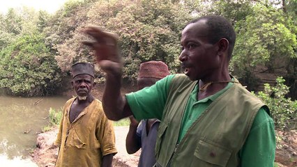 Os últimos elefantes da Nigéria