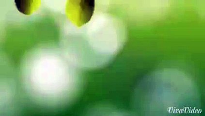 성북출장마사지 ☕콜걸☕010-4931-1169☑ 성북출장안마