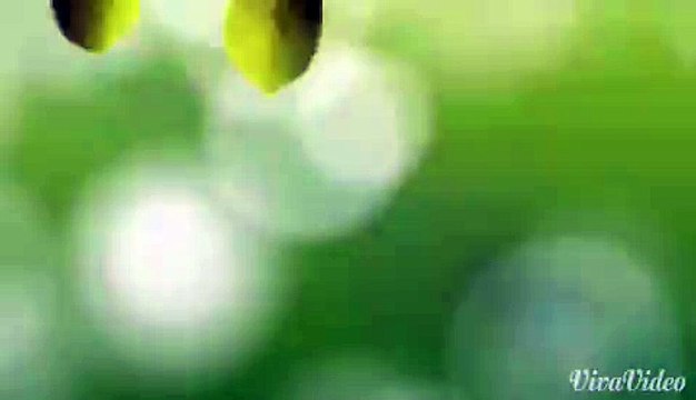 천호출장안마 ☕콜걸☕010-4931-1169☑ 천호출장마사지