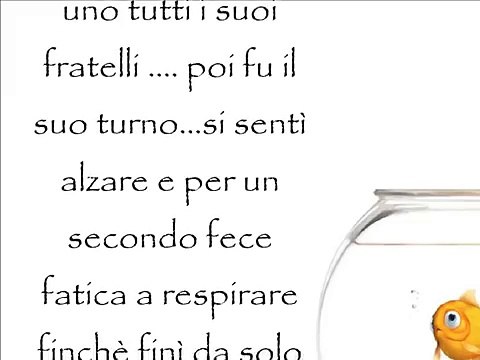 Favole per bambini - La storia di Gninù - favole canzoni romantiche italiane con testo