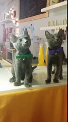 과천출장안마 @010-4931-1169@loo%후불제« 과천출장마사지