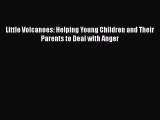 PDF Little Volcanoes: Helping Young Children and Their Parents to Deal with Anger  Read Online