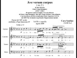 Ave verum corpus - Santino Cara.wmv
