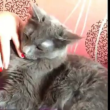 중랑구출장마사지 ✈010-4931-1169✈선입금없는출장안마★ 중랑구출장안마