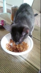 신림출장 ‶출장안마후기‶010-4931-1169✝ 신림동출장