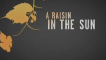 A RAISIN IN THE SUN (2008) Trailer VO - HQ
