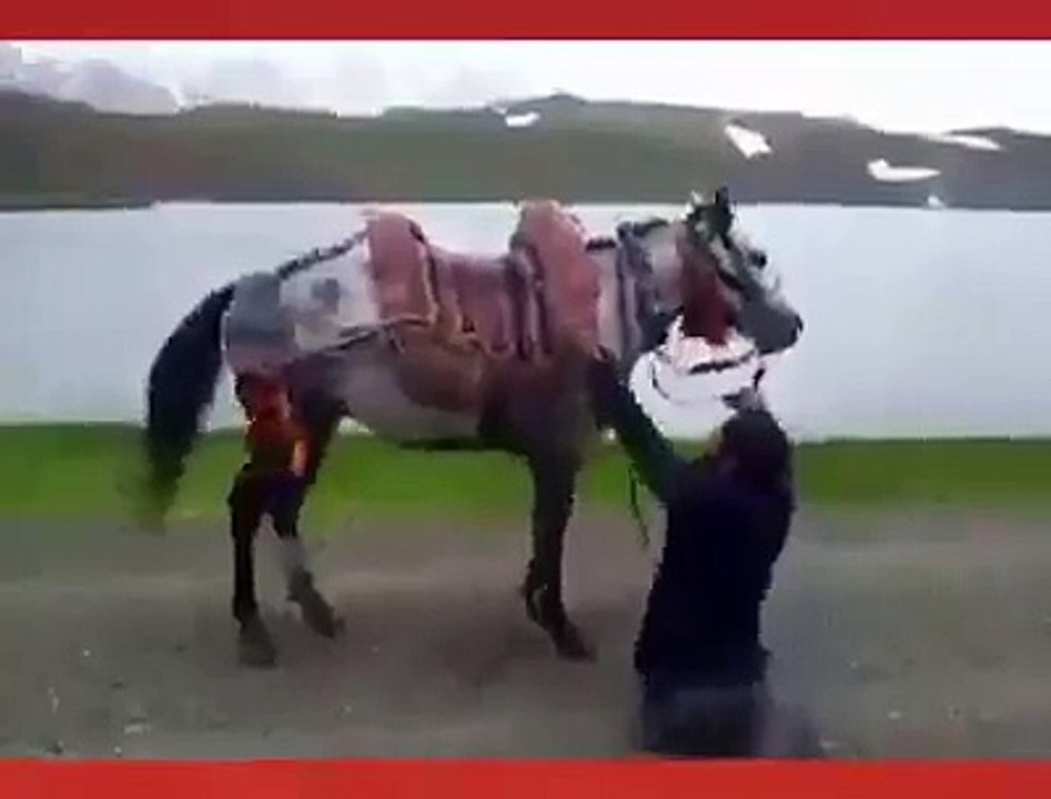 masha allah