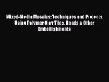 Download Mixed-Media Mosaics: Techniques and Projects Using Polymer Clay Tiles Beads & Other