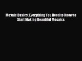 Download Mosaic Basics: Everything You Need to Know to Start Making Beautiful Mosaics Ebook