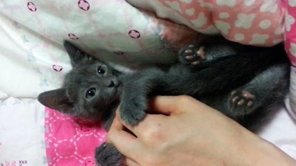 구로구출장마사지 ⇘OlO=4931=1169⇙출장전문⇦ 구로구출장안마