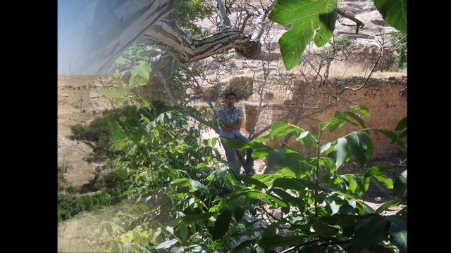 W.wW.SeSLiHoRoN.Com KaRaDeNiZ SoHBeT SiTeSi herkesi bekleriz seviyeli dostlar sohbet sitesi