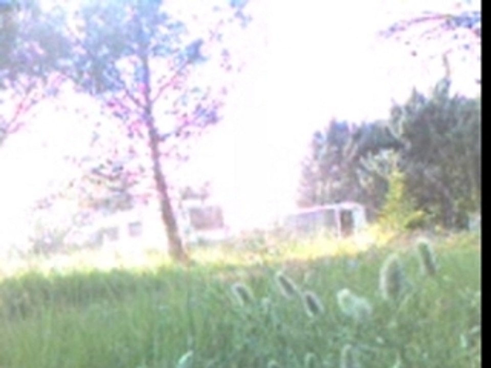 Video-0002