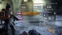The Division - Black Market SASG-125 Modified, Flecktorn Danish Camo, C79 Scope, Extended Mag, Small Grip