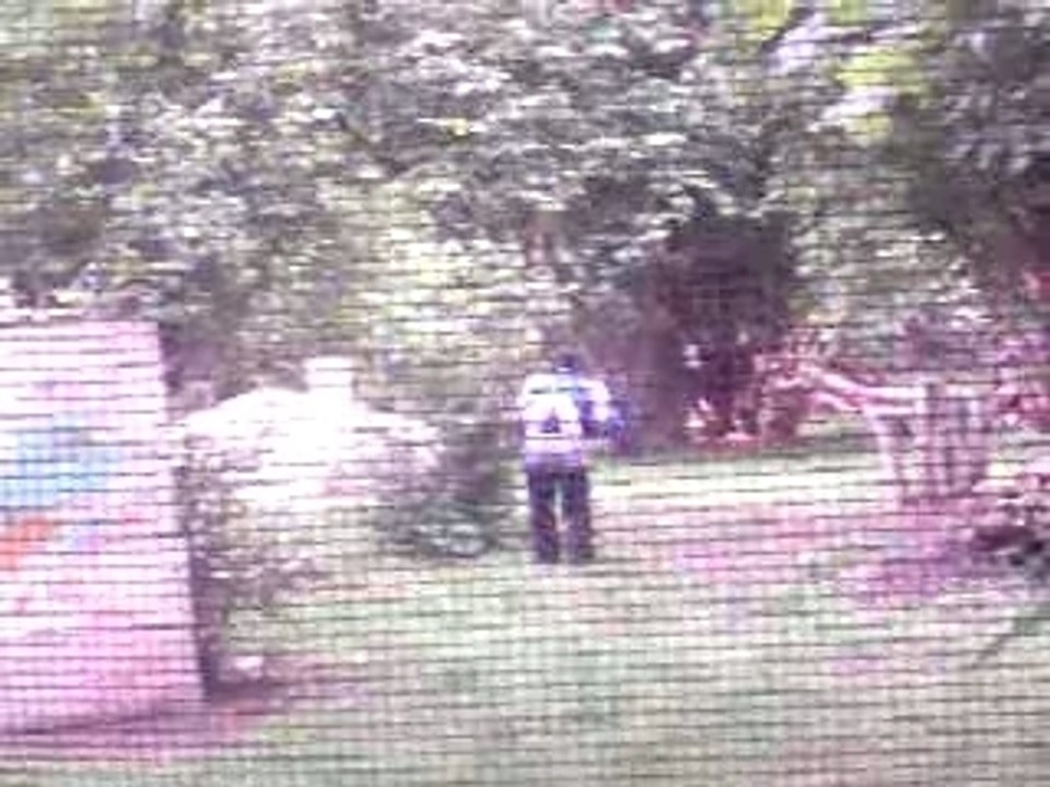 paint ball