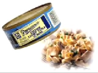 funny camel toe song