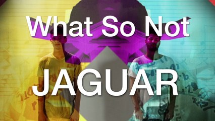 What So Not - Jaguar (Official Music Video)