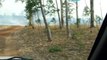 incêndio no parque nacional de chapada dos guimaraes