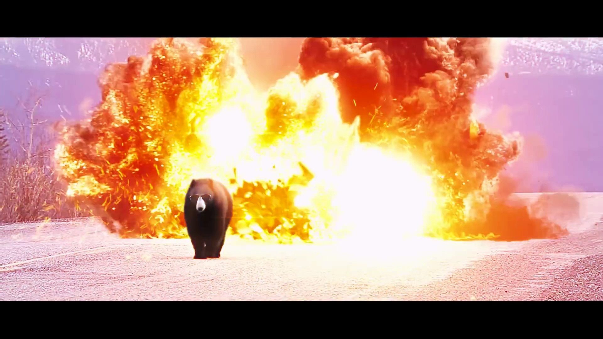 Animals Being Awesome - Funny Animals 2016