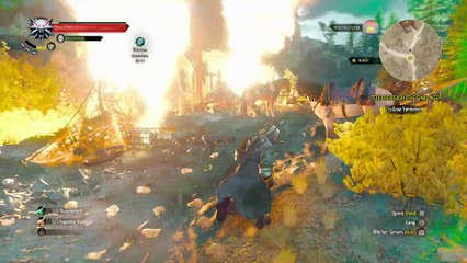 THE WITCHER 3 WALKTHROUGH PART 229 - FINAL BOSS TEDD DEIREAH & ENDING 1 OF 2