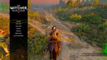THE WITCHER 3 WALKTHROUGH PART 230 - SOMETHING ENDS, SOMETHING BEGINS (ENDING 2 OF 2)