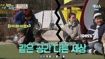 【西游字幕】160325 给狗粮的男人 强仁CUT 中字