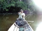Asociacion Peruana de pesca Deportiva/ Pesca de Tucunare en cocha santa Rosa / Gaston Verme