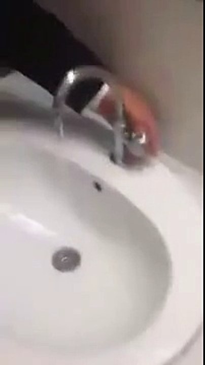 Dailymotion PHP SDK upload test